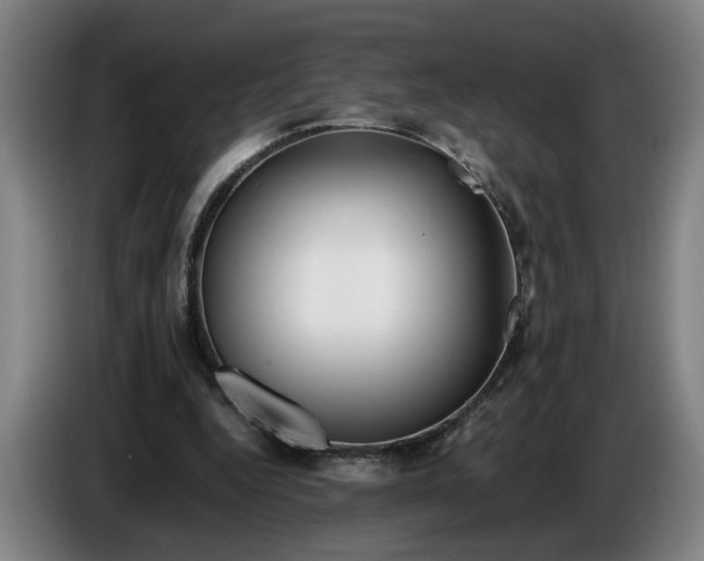 X0000085790344200703301456