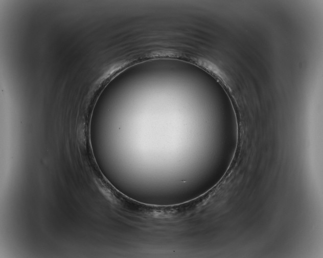 X0000085790345200703301456