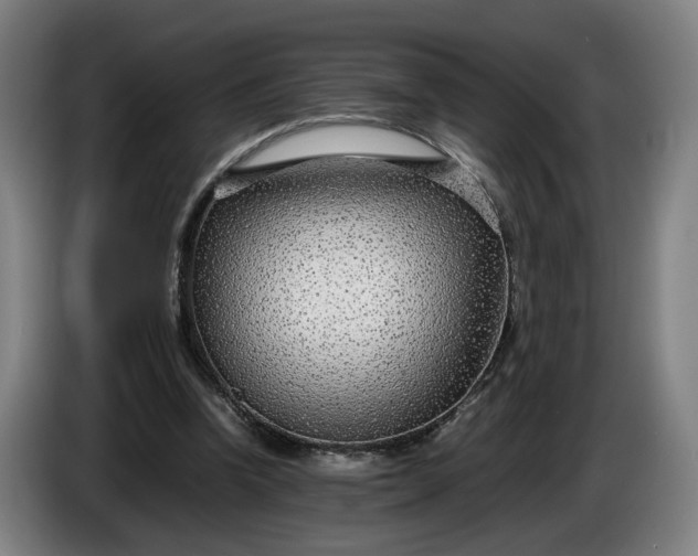 X0000085790346200703301456