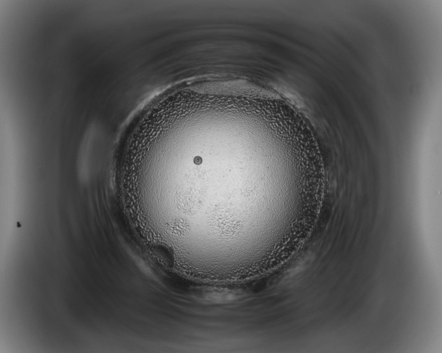 X0000085790347200703301456
