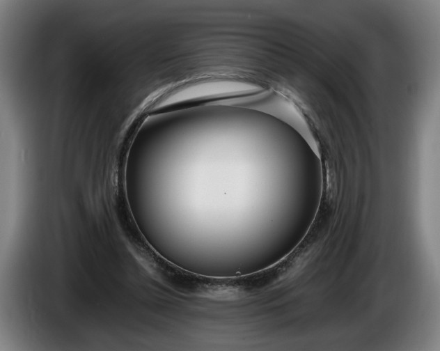 X0000085790348200703301456