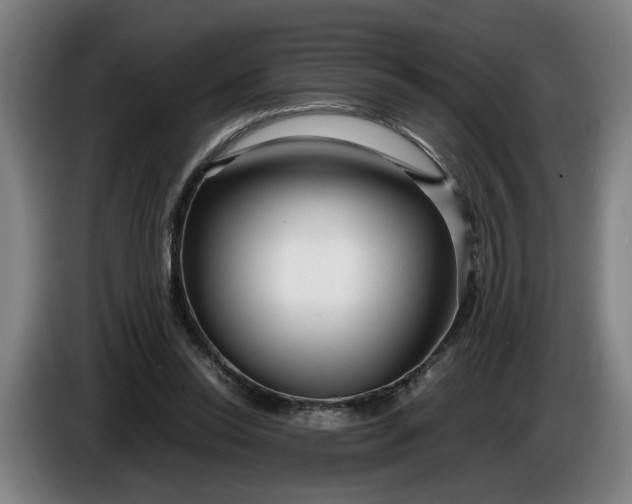 X0000085790350200703301456