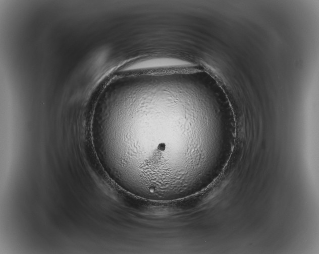 X0000085790351200703301456
