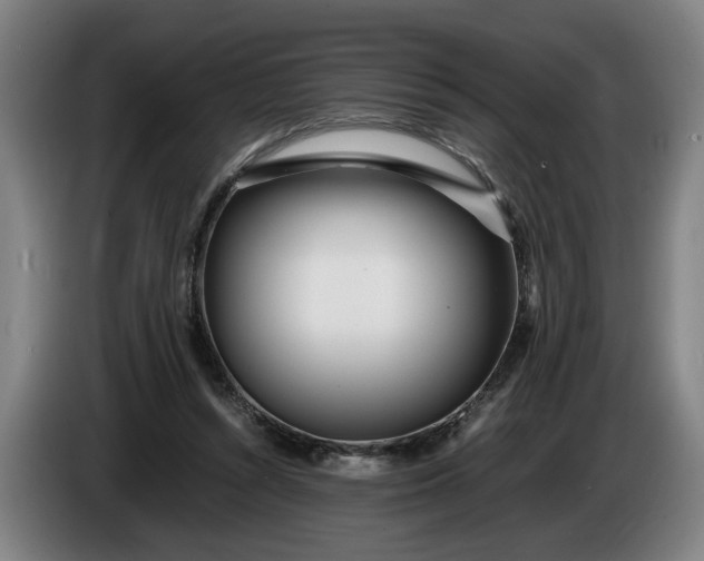 X0000085790352200703301456