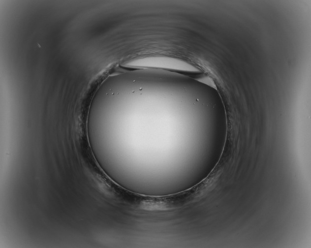 X0000085790354200703301456