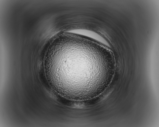 X0000085790355200703301456