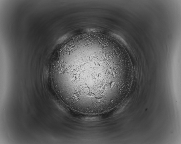 X0000085790357200703301456