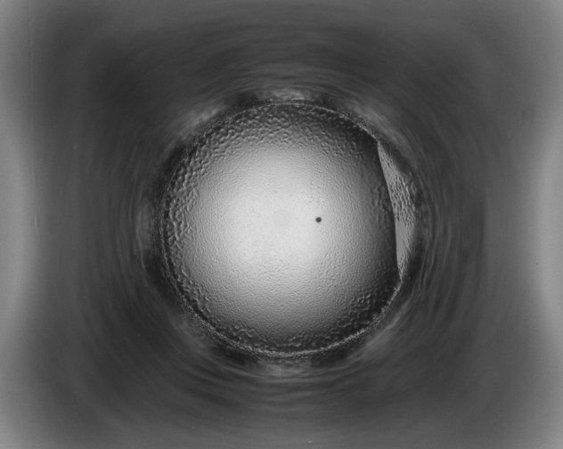 X0000085790359200703301456