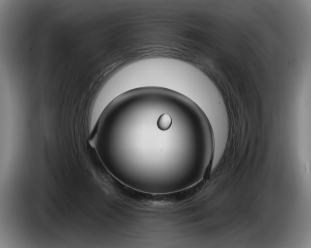 X0000085790360200703301456