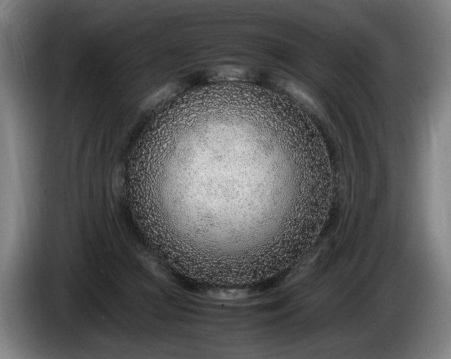 X0000085790361200703301456