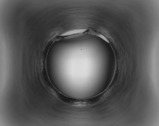 X0000085790362200703301456