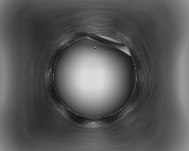 X0000085790364200703301456