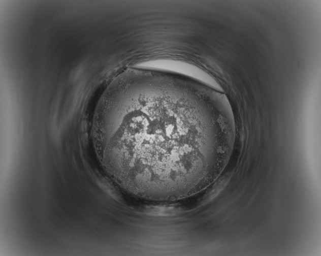 X0000085790366200703301456