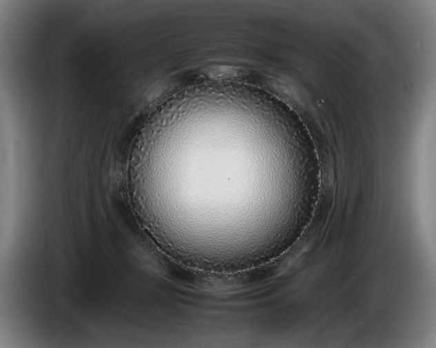 X0000085790367200703301456