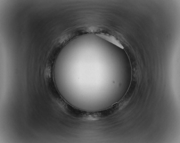 X0000085790368200703301456