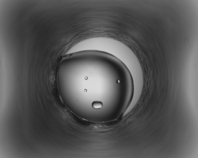 X0000085790372200703301456