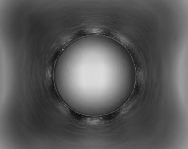 X0000085790373200703301456