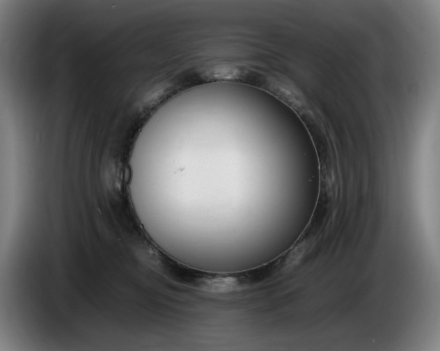 X0000085790374200703301456