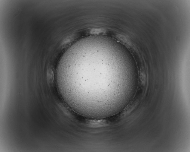 X0000085790375200703301456