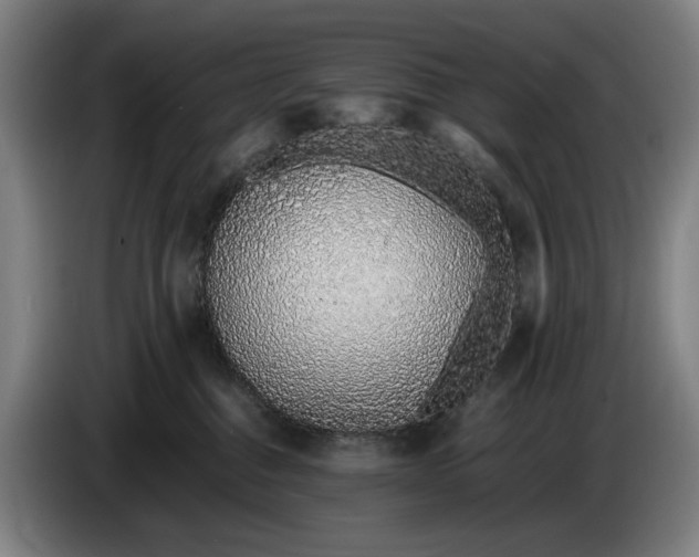 X0000085790376200703301456