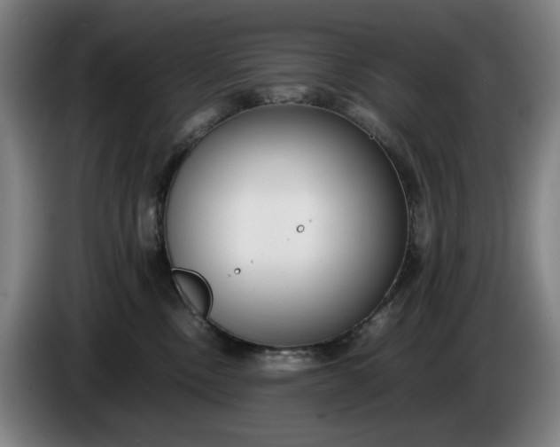 X0000085790378200703301457