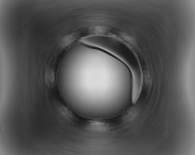 X0000085790380200703301457