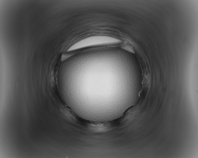 X0000085790381200703301457