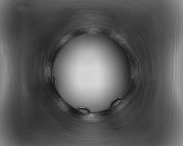 X0000085790382200703301457