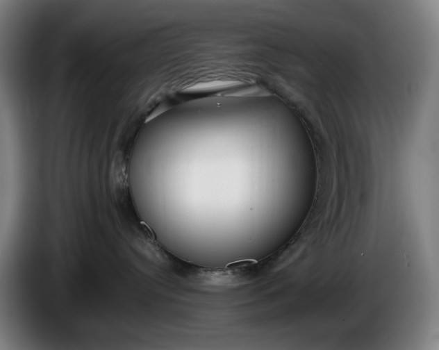 X0000085790384200703301457