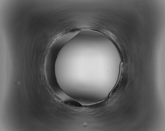 X0000085790385200703301456