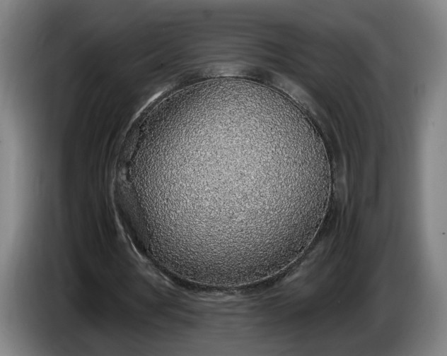 X0000085790386200703301456
