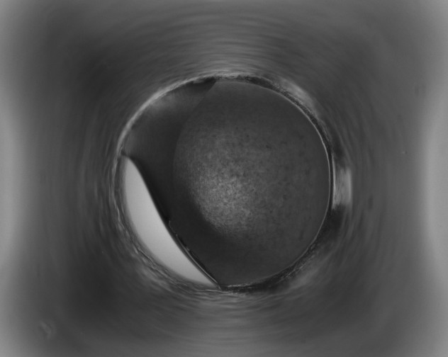 X0000085790387200703301456