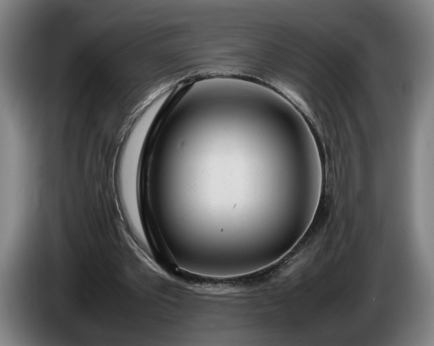 X0000085790389200703301456