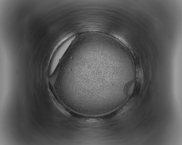 X0000085790390200703301456