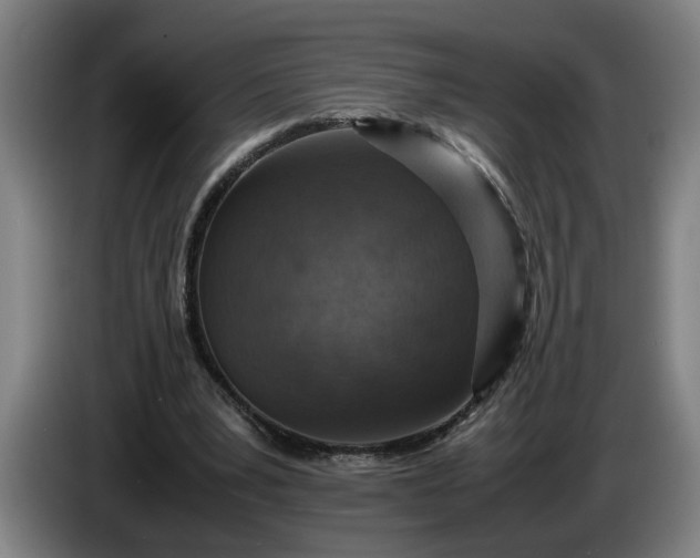 X0000085790391200703301456