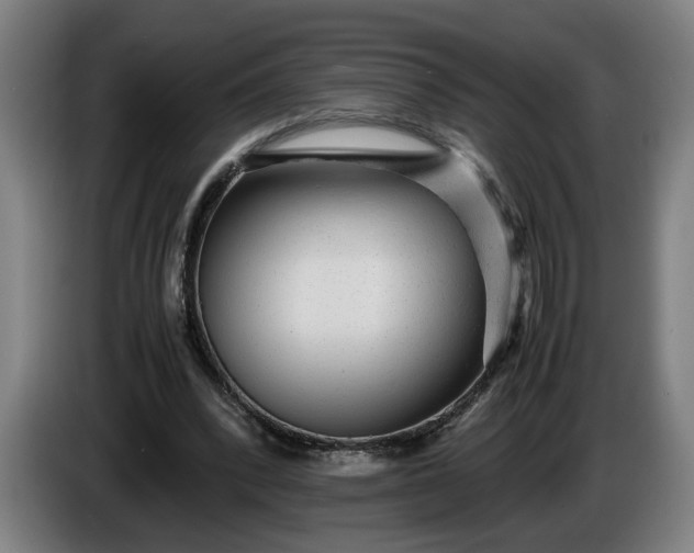 X0000085790392200703301456