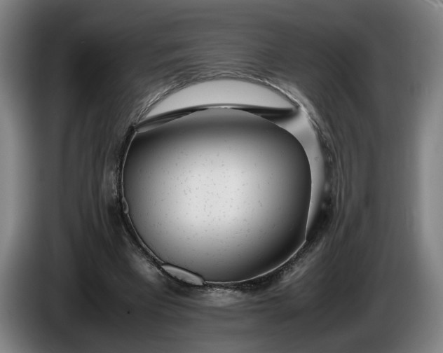 X0000085790393200703301456