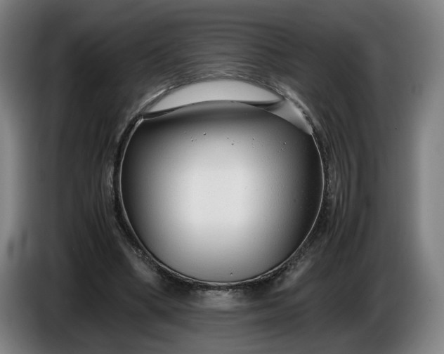 X0000085790394200703301456