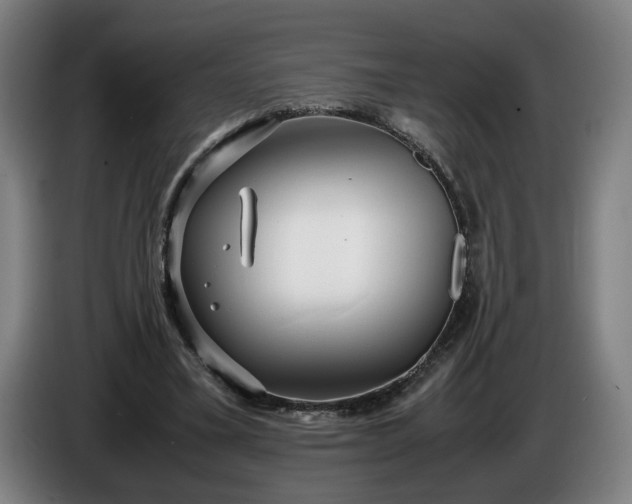 X0000085790395200703301456
