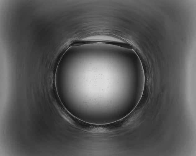 X0000085790397200703301456