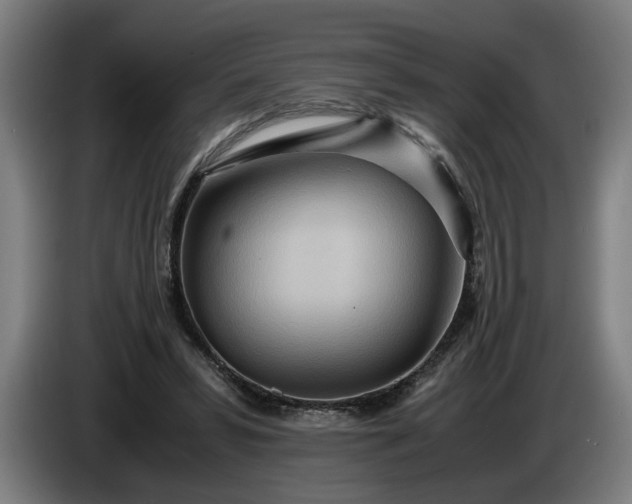 X0000085790399200703301456