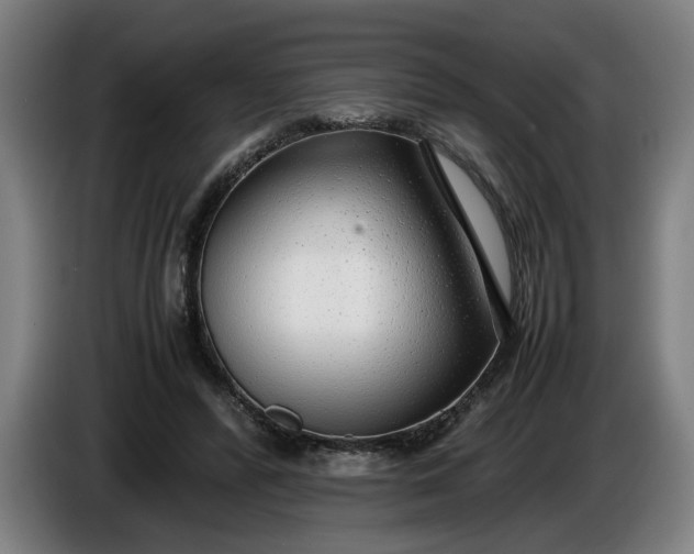 X0000085790400200703301456