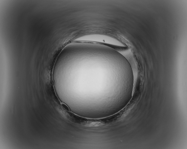 X0000085790401200703301456