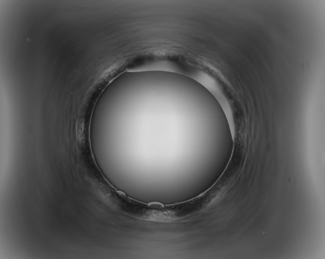 X0000085790403200703301456