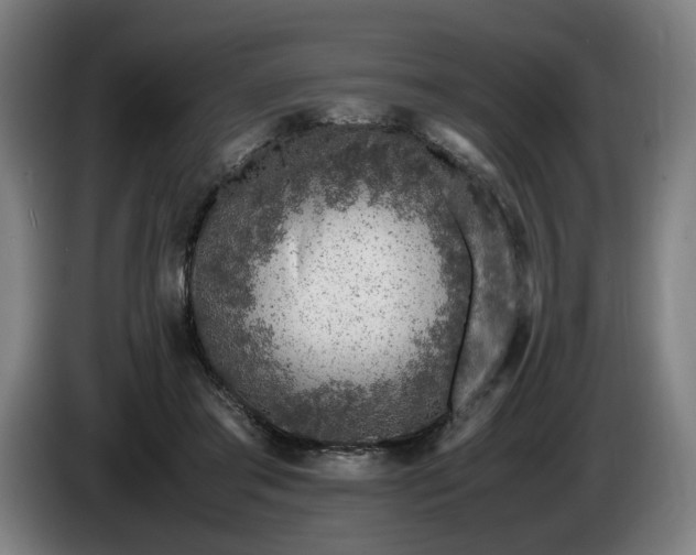 X0000085790405200703301456