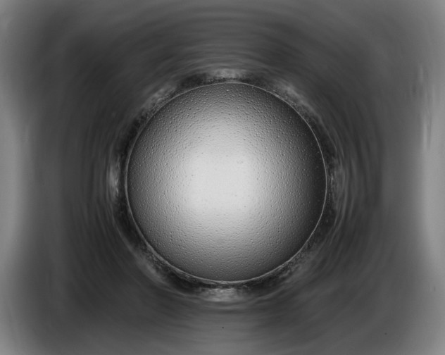 X0000085790406200703301456