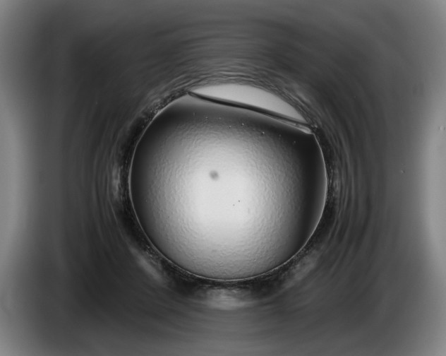 X0000085790408200703301456