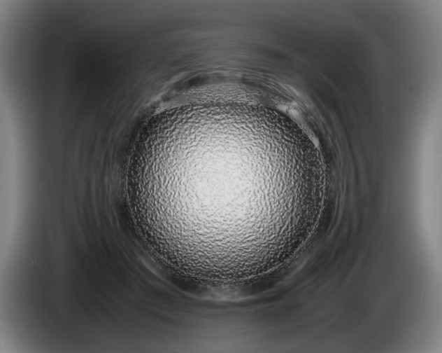 X0000085790409200703301456