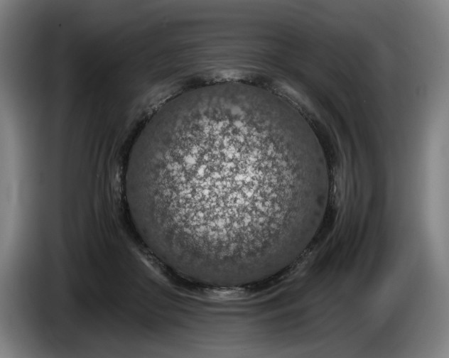 X0000085790410200703301456