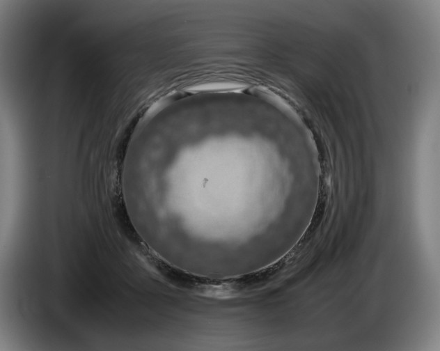 X0000085790411200703301456